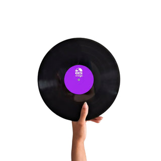 10-inch vinyl record